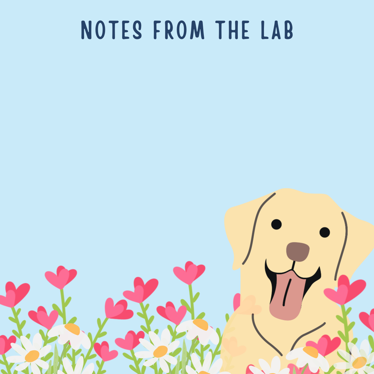 4 x 4 Inches Note from the Lab Notepad