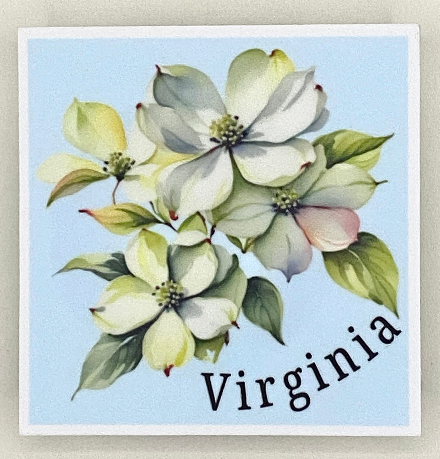 Virginia Dogwood Sticker